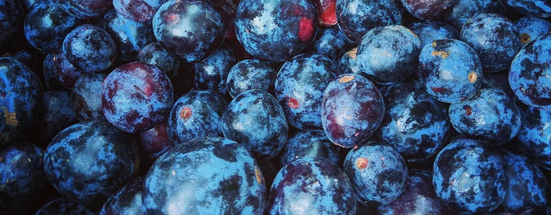 Davidson's Plum
